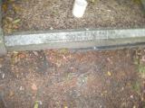 image of grave number 113634
